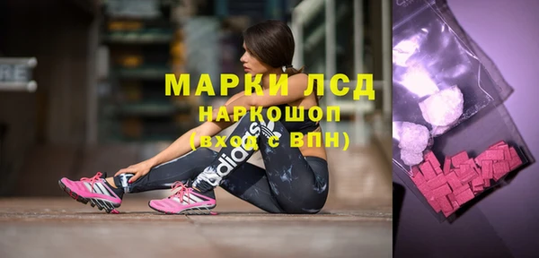 индика Лагань