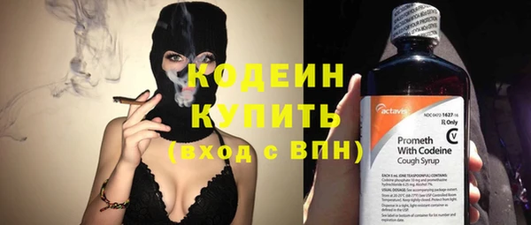 прущие грибы Лабытнанги