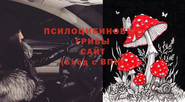 индика Лагань