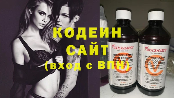 индика Лагань