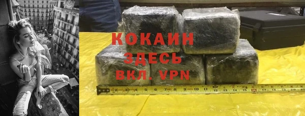 индика Лагань