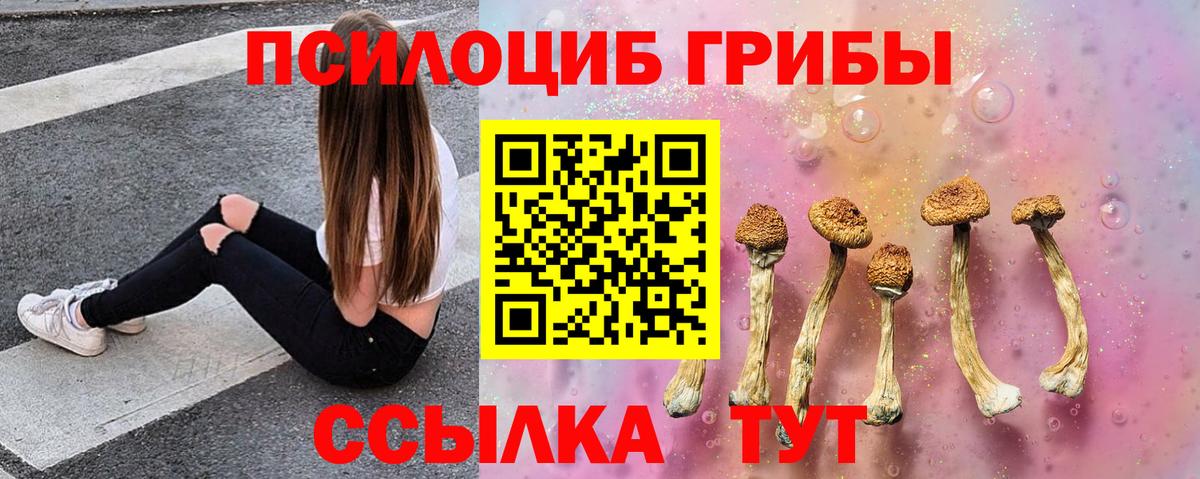 Галлюциногенные грибы мухоморы  Учалы  Галлюциногенные грибы GOLDEN TEACHER 